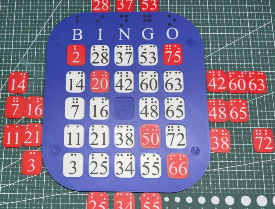 Imagen del modelo Cartón de Bingo para Personas con Discapacidad Visual y Ciegos