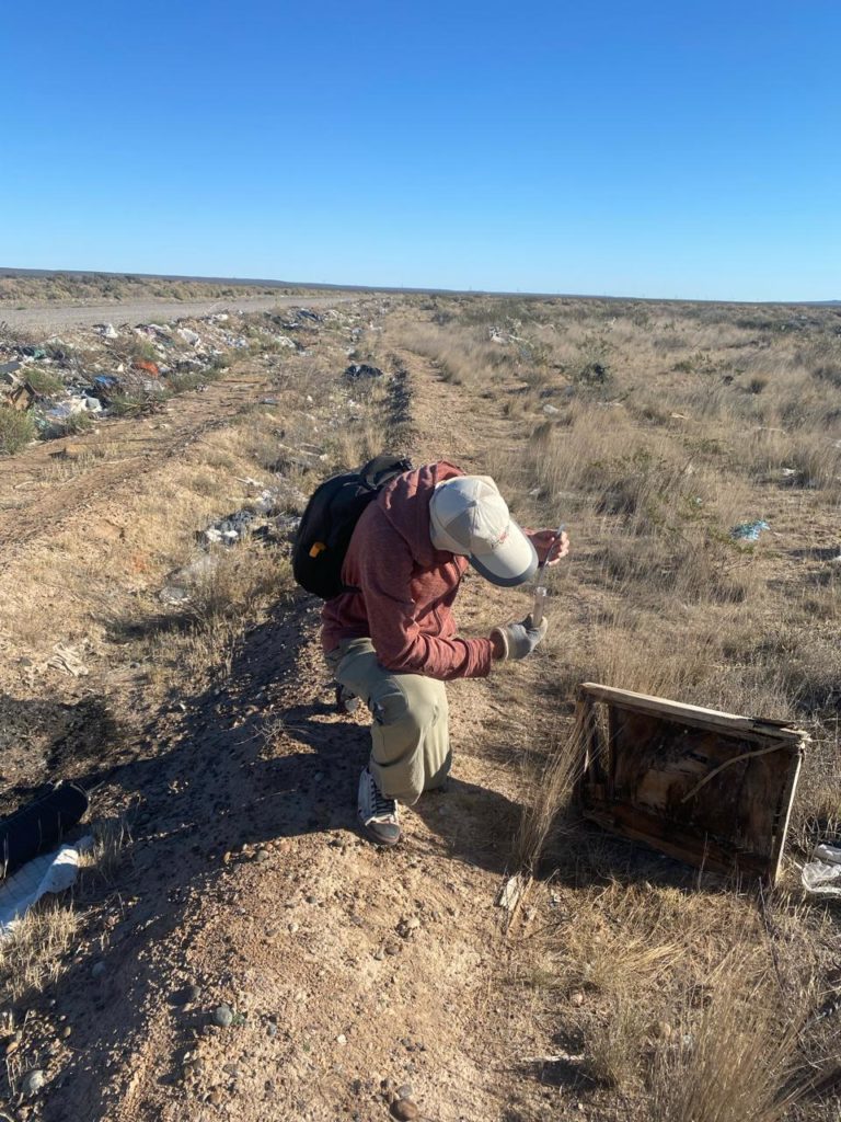 ¿Cambio climático y urbanización: Una nueva realidad para las viudas negras en Patagonia?