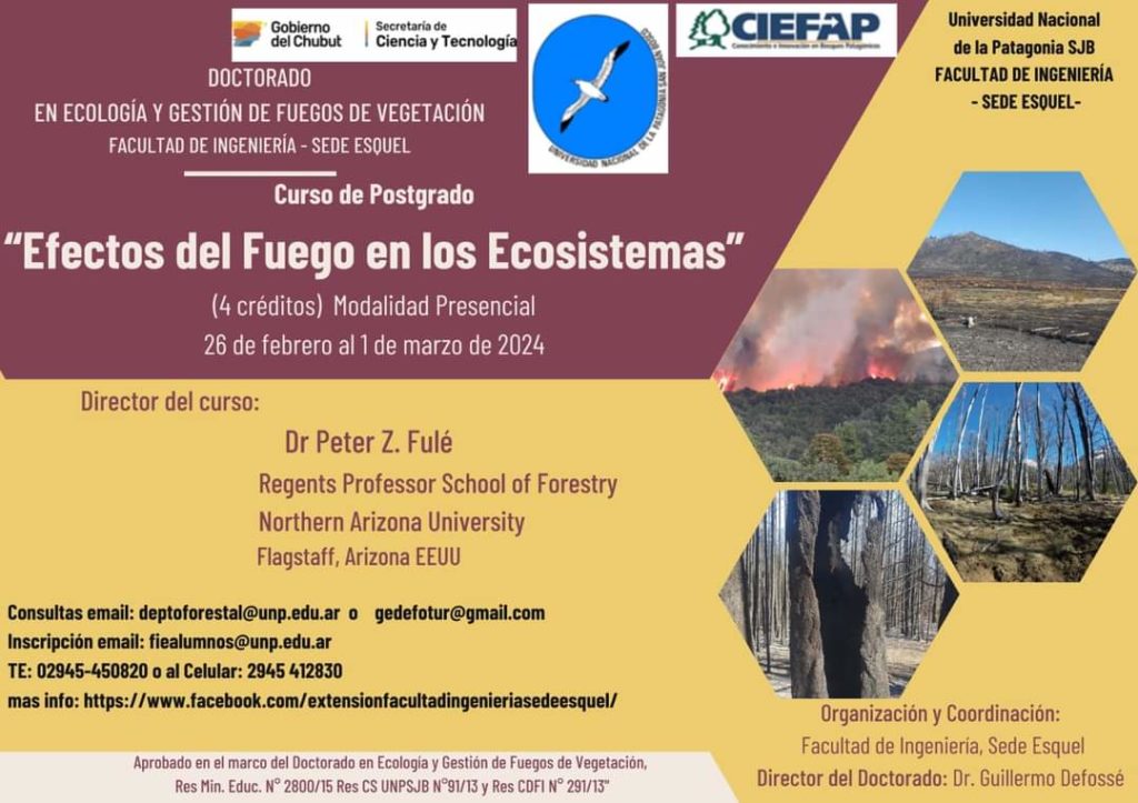 EL GOBIERNO DEL CHUBUT AUSPICIA EL CURSO DE POSTGRADO "EFECTOS DEL FUEGO EN LOS ECOSISTEMAS"