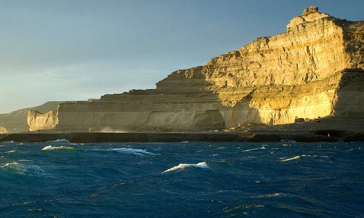 Darwin y la Patagonia: una historia científica que merece ser contada