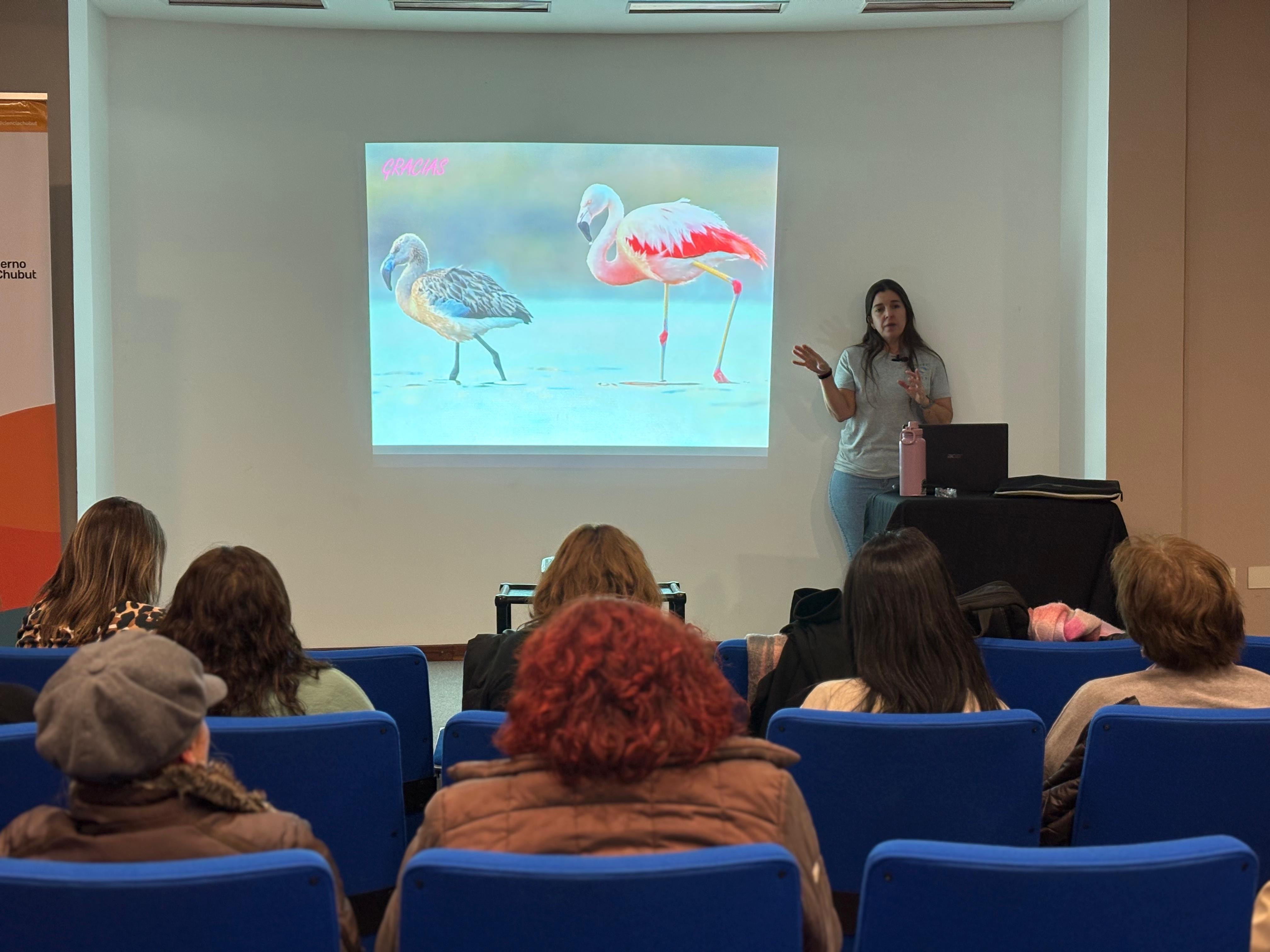 Charla de divulgación científica sobre flamencos australes en Chubut