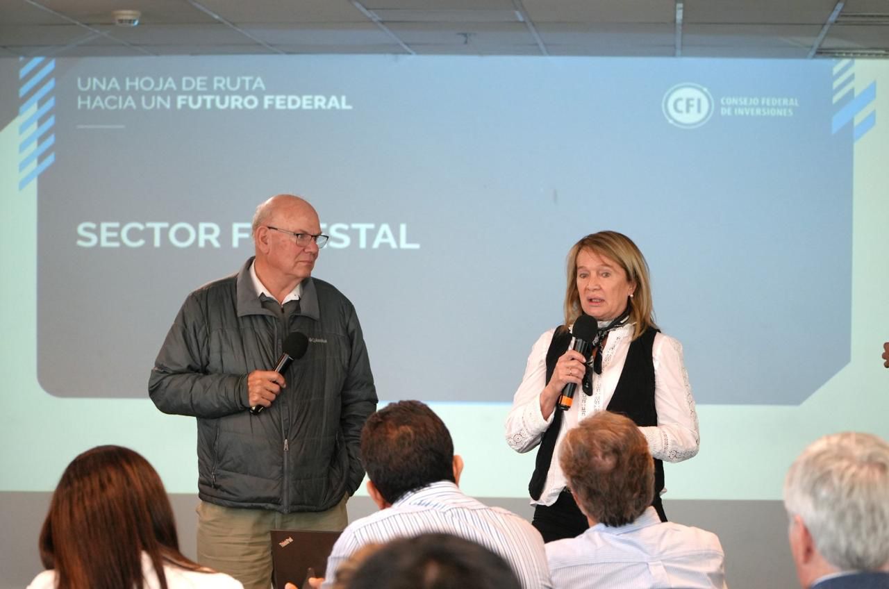 Chubut participó de una mesa federal impulsada por el CFI para fortalecer el desarrollo forestal y foresto-industrial
