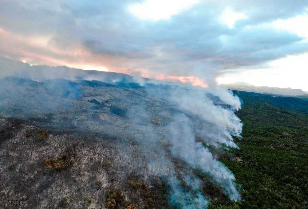 EL GOBIERNO DEL CHUBUT AUSPICIA EL CURSO DE POSTGRADO "EFECTOS DEL FUEGO EN LOS ECOSISTEMAS"